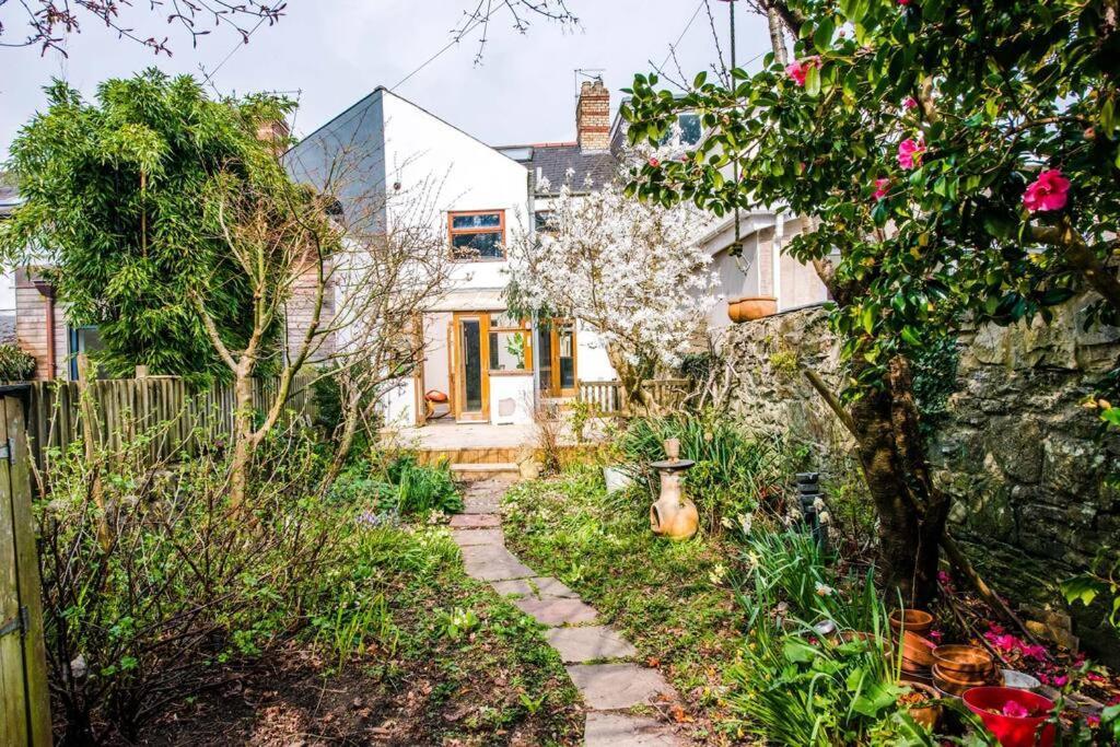 Gorgeous Victorian House Sleeps 6 In Cardiff别墅 外观 照片
